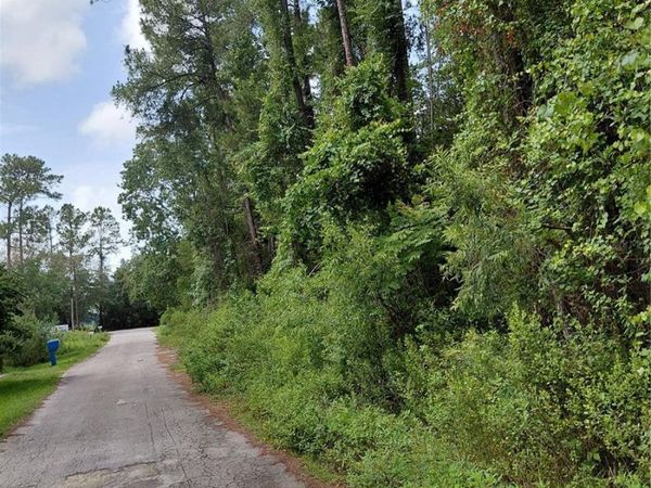 JAMES STREET, ASTOR, FL 32102