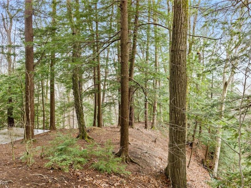 1364 Echo Glen, Gates Mills, OH 44040 Photo 13