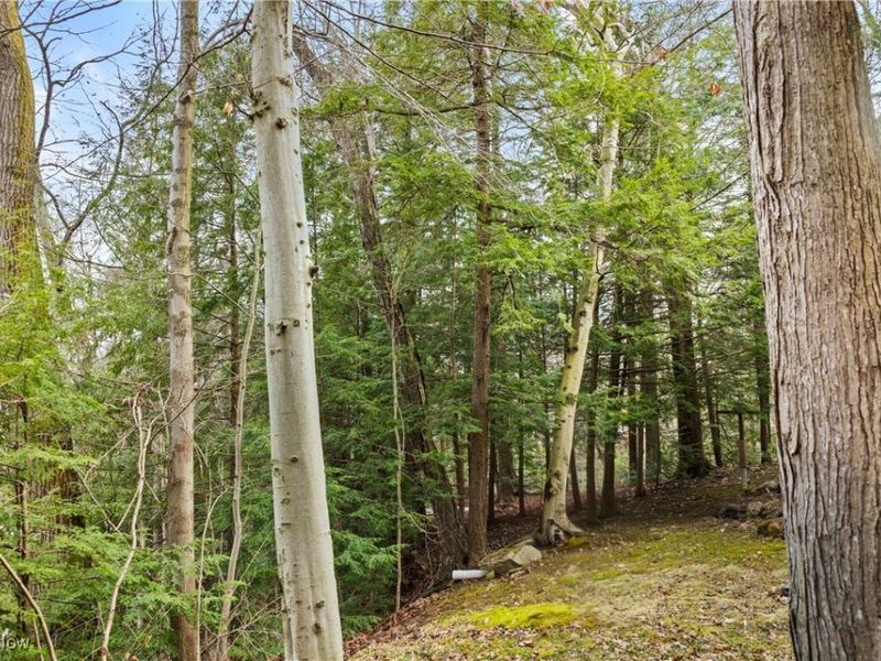 1364 Echo Glen, Gates Mills, OH 44040 Photo 14