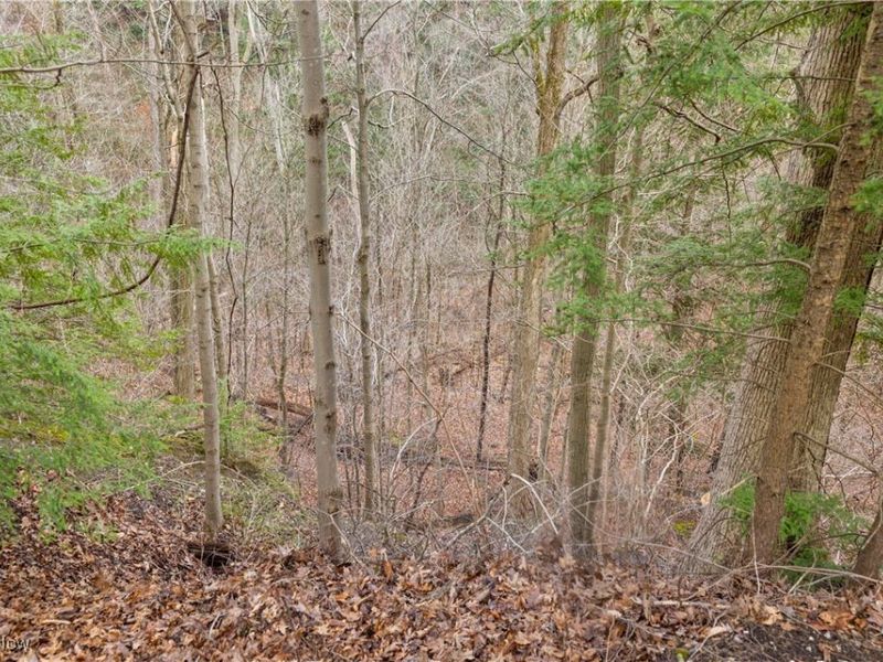 1364 Echo Glen, Gates Mills, OH 44040 Photo 15