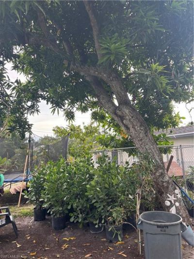 152 Prospect Ave, Fort Myers, FL 33905 Photo