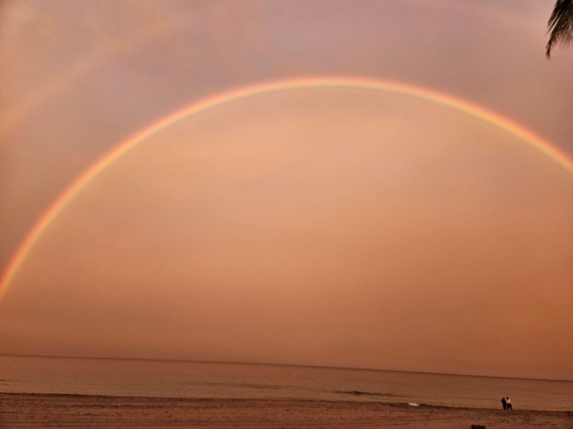 1530 S Ocean Boulevard, Unit 12, Pompano Beach, FL 33062 Photo