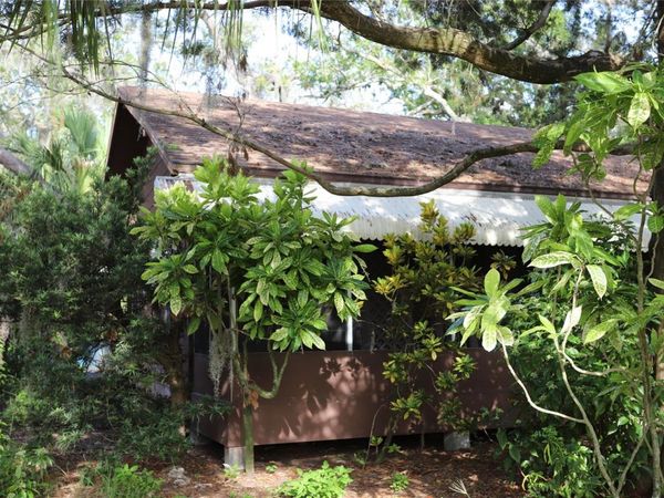 260 ORANGE STREET, PALM HARBOR, FL 34683