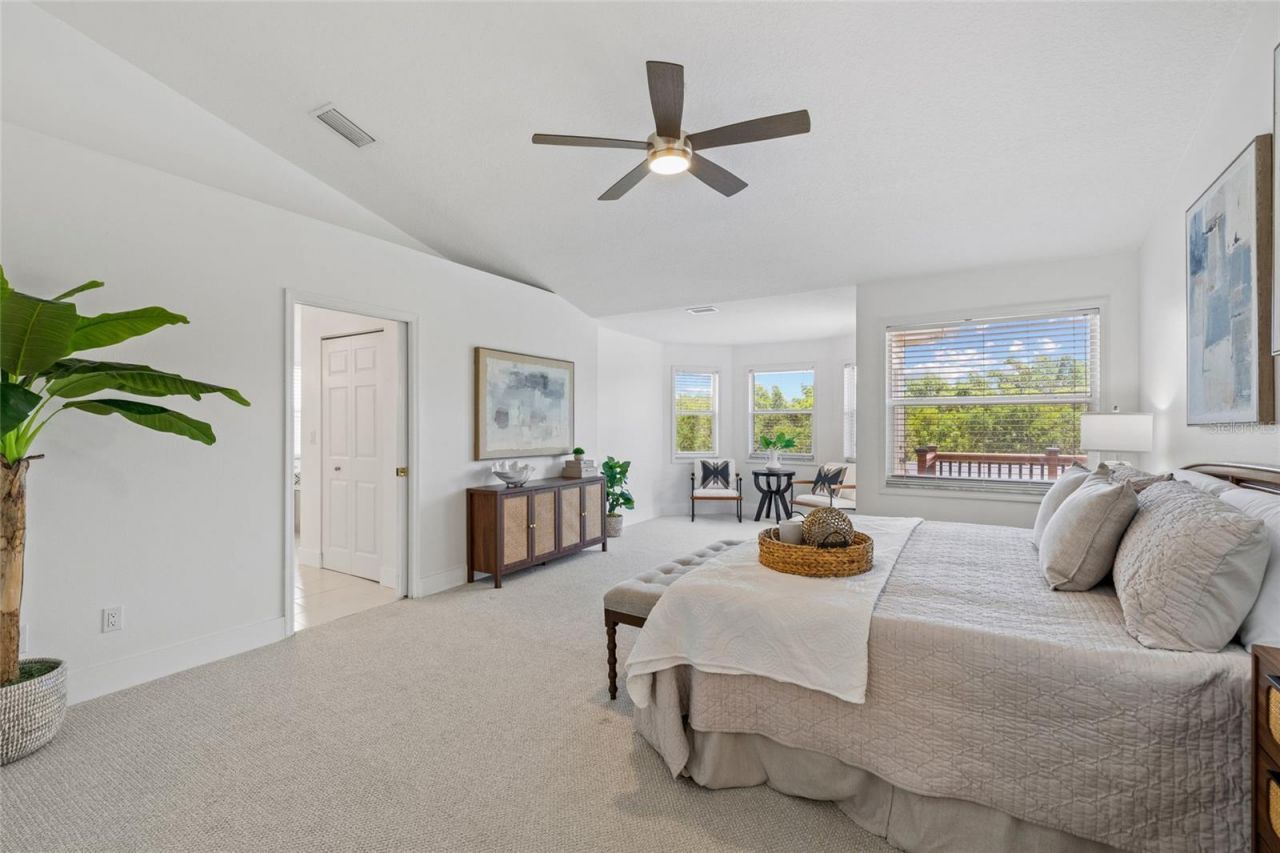 1191 Darlington Oak Drive Ne, Saint Petersburg, FL 33703 Photo