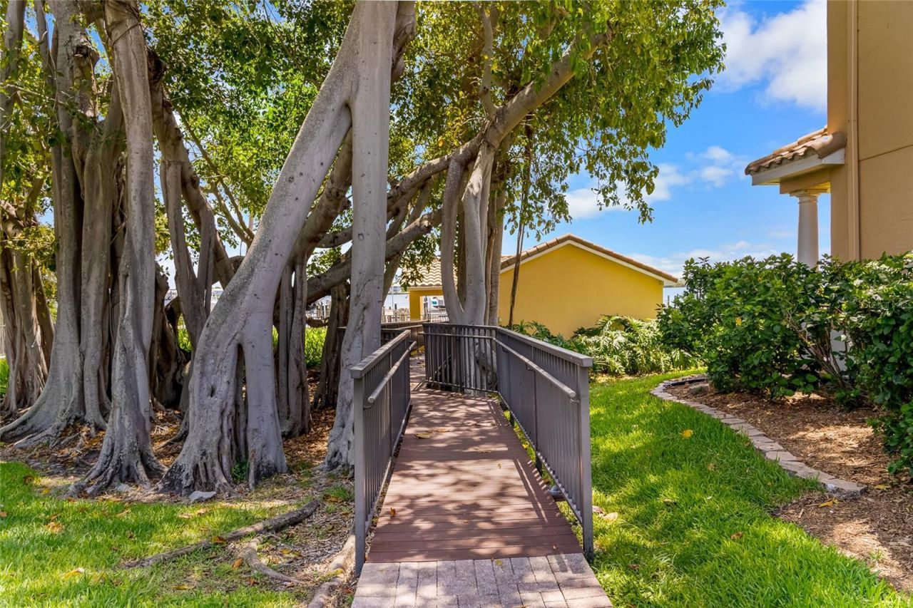 191 Banyan Bay Drive, Saint Petersburg, FL 33705 Photo