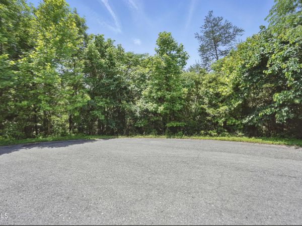 2064 Scenic Pointe Place, Church Hill, TN 37642