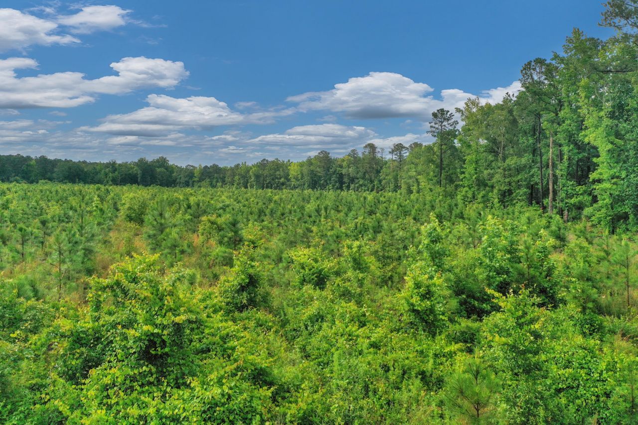 0000 N Brewington Road Photo 10