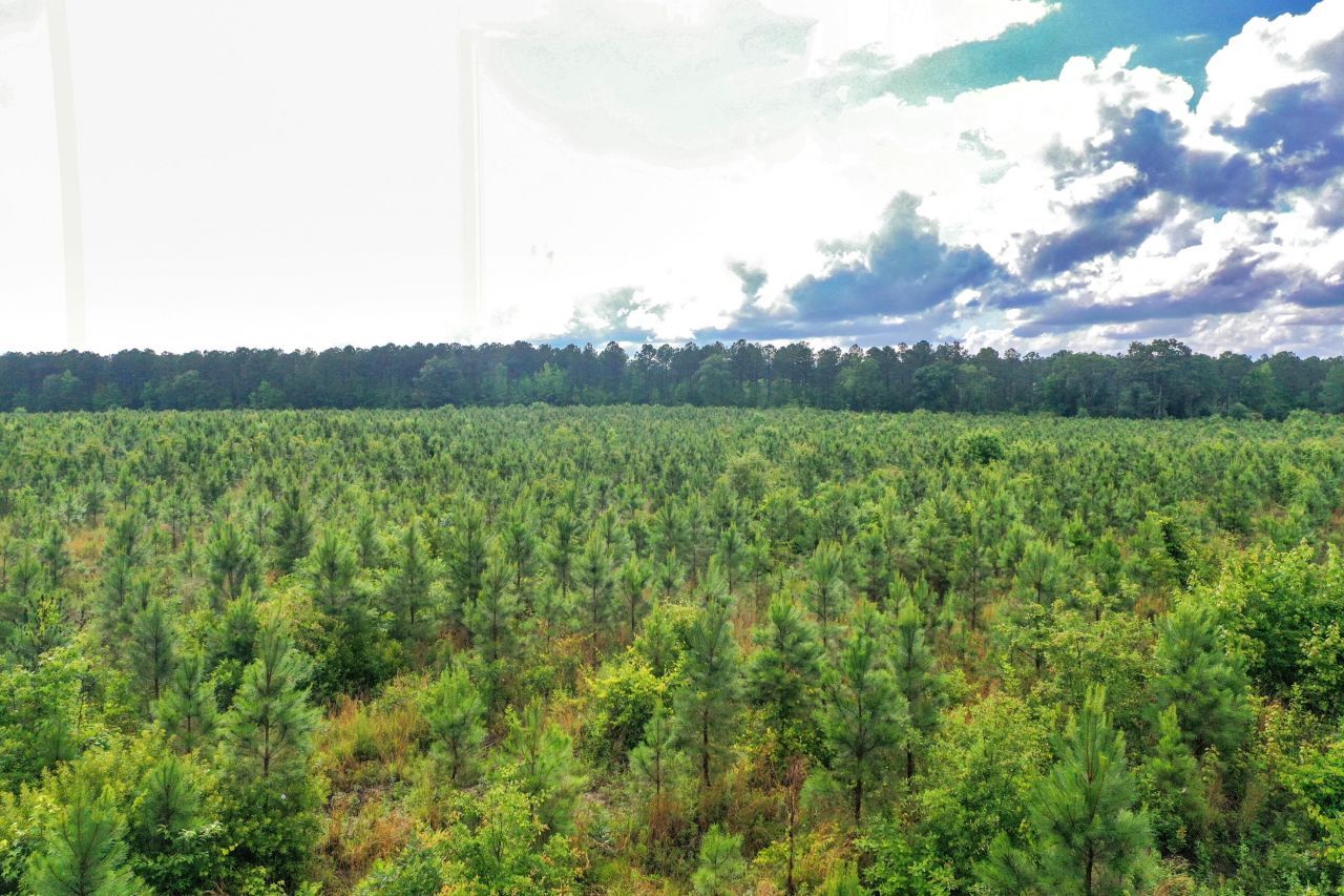 0000 N Brewington Road Photo 11