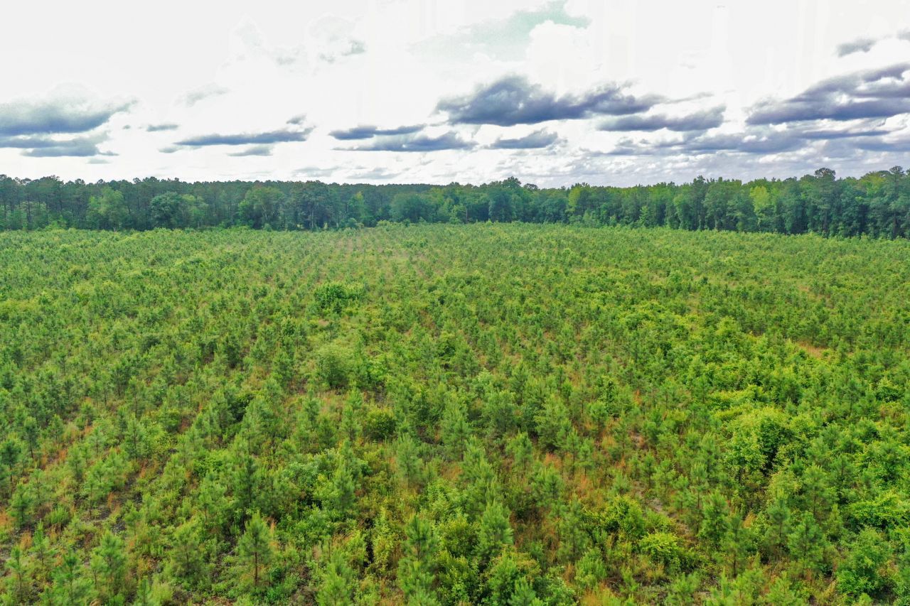 0000 N Brewington Road Photo 12