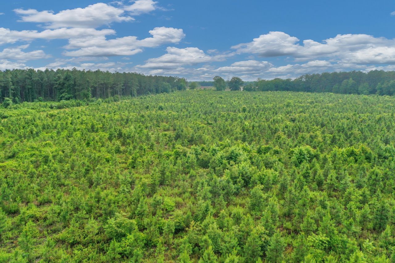 0000 N Brewington Road Photo 14