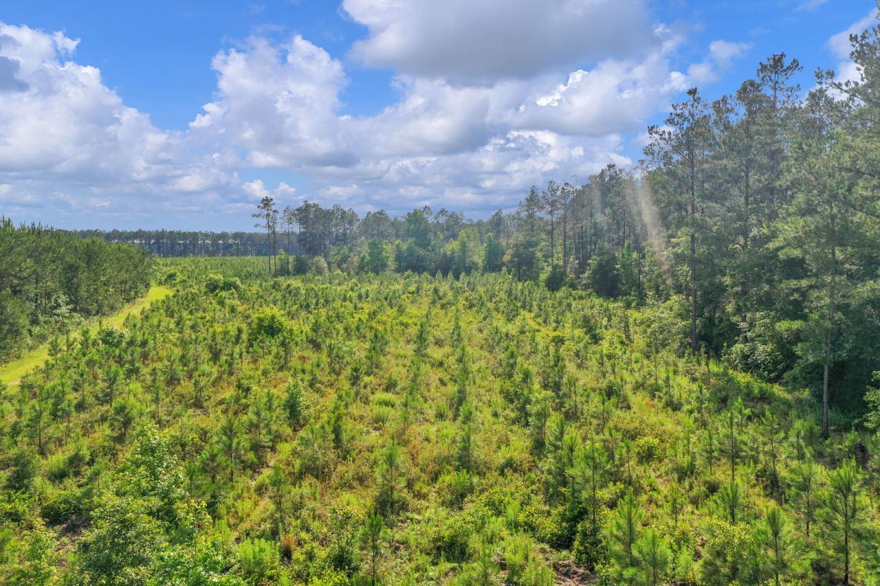 0000 N Brewington Road Photo 15