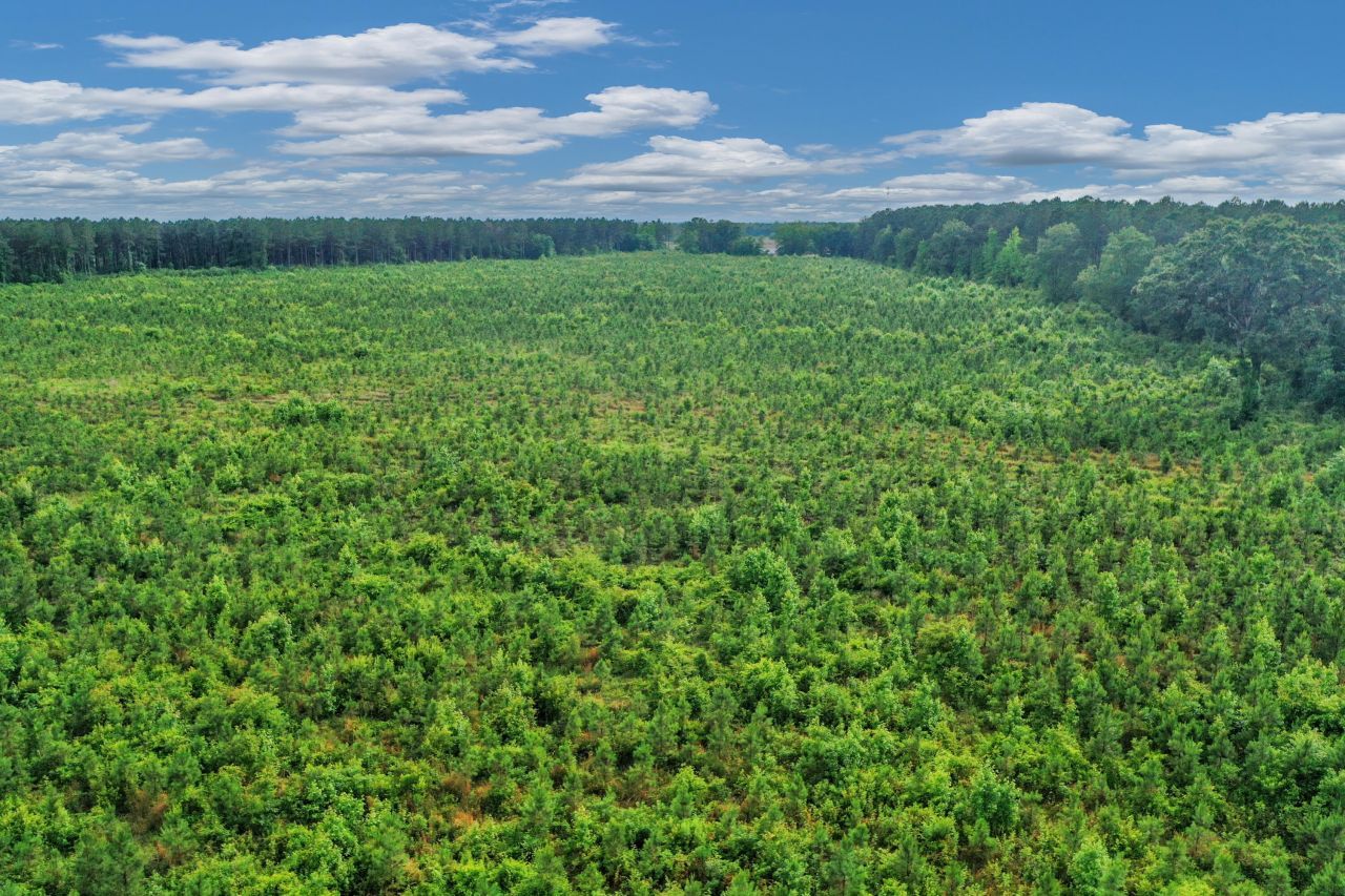 0000 N Brewington Road Photo 17