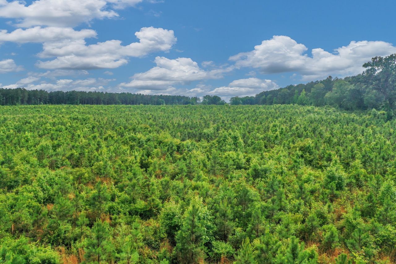 0000 N Brewington Road Photo 18