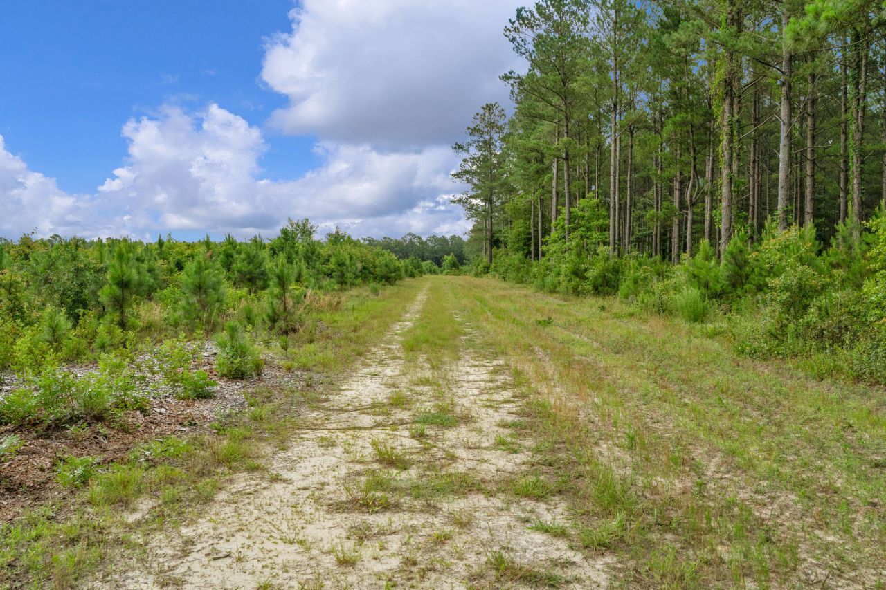 0000 N Brewington Road Photo 2