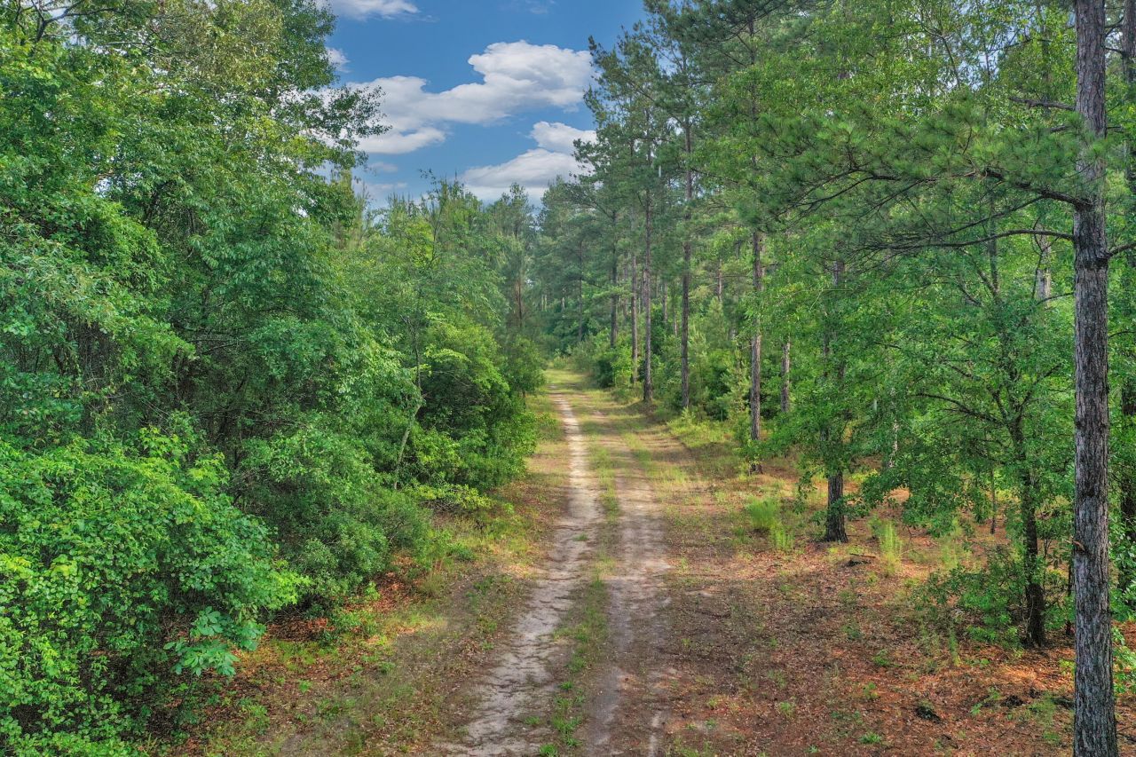 0000 N Brewington Road Photo 20