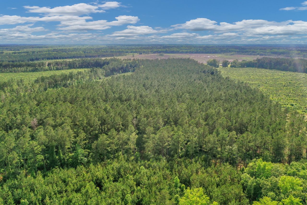 0000 N Brewington Road Photo 22