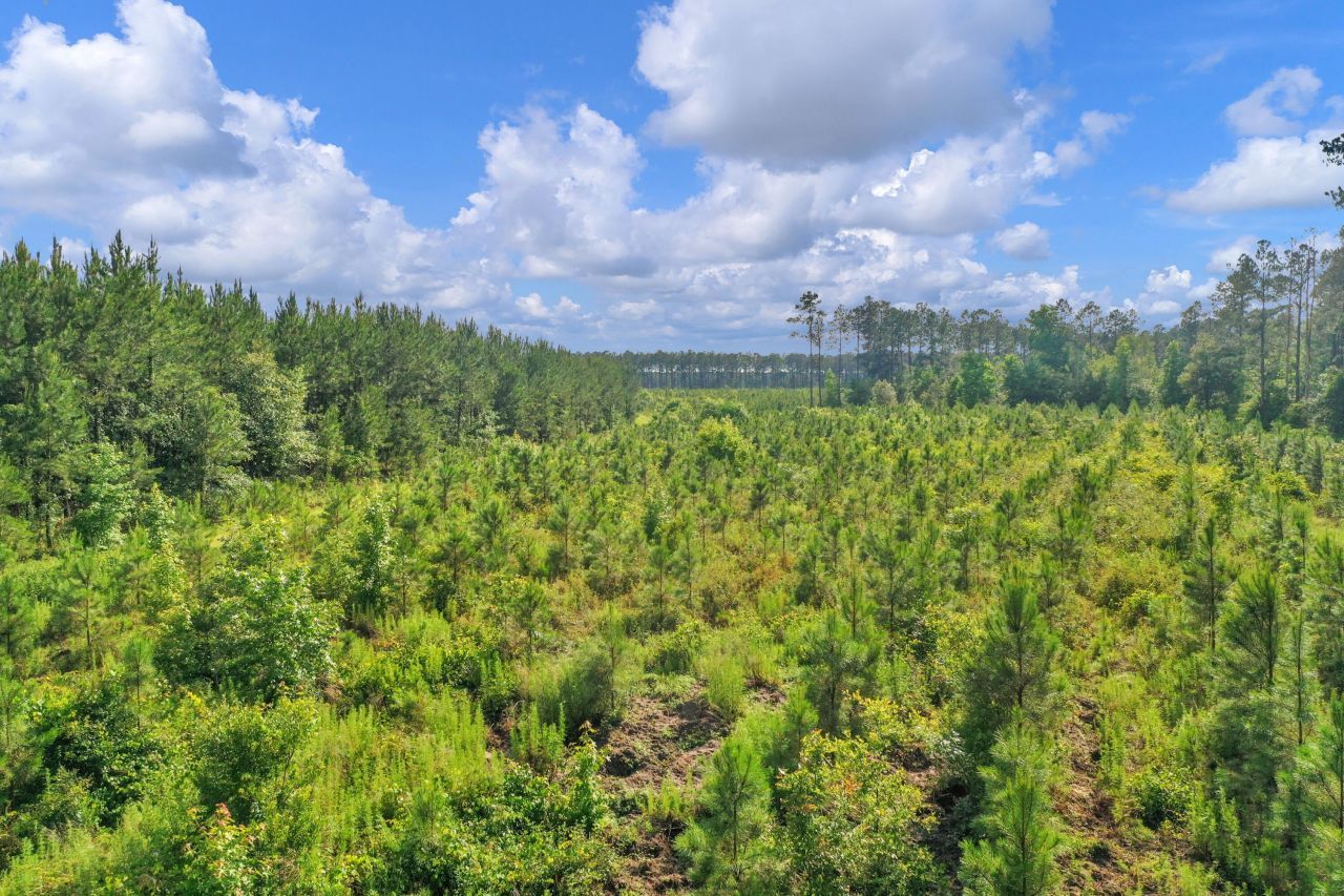 0000 N Brewington Road Photo 24