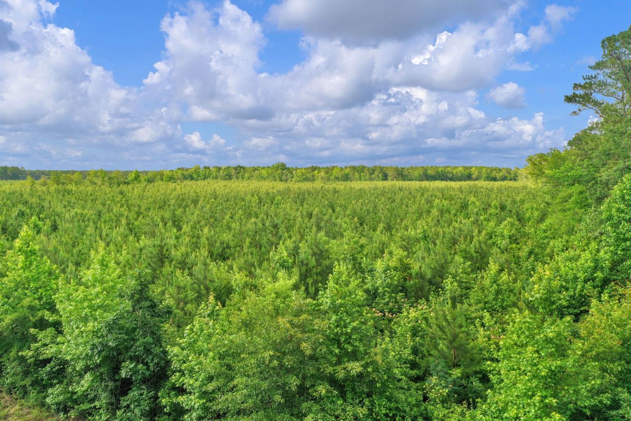 0000 N Brewington Road Photo 26