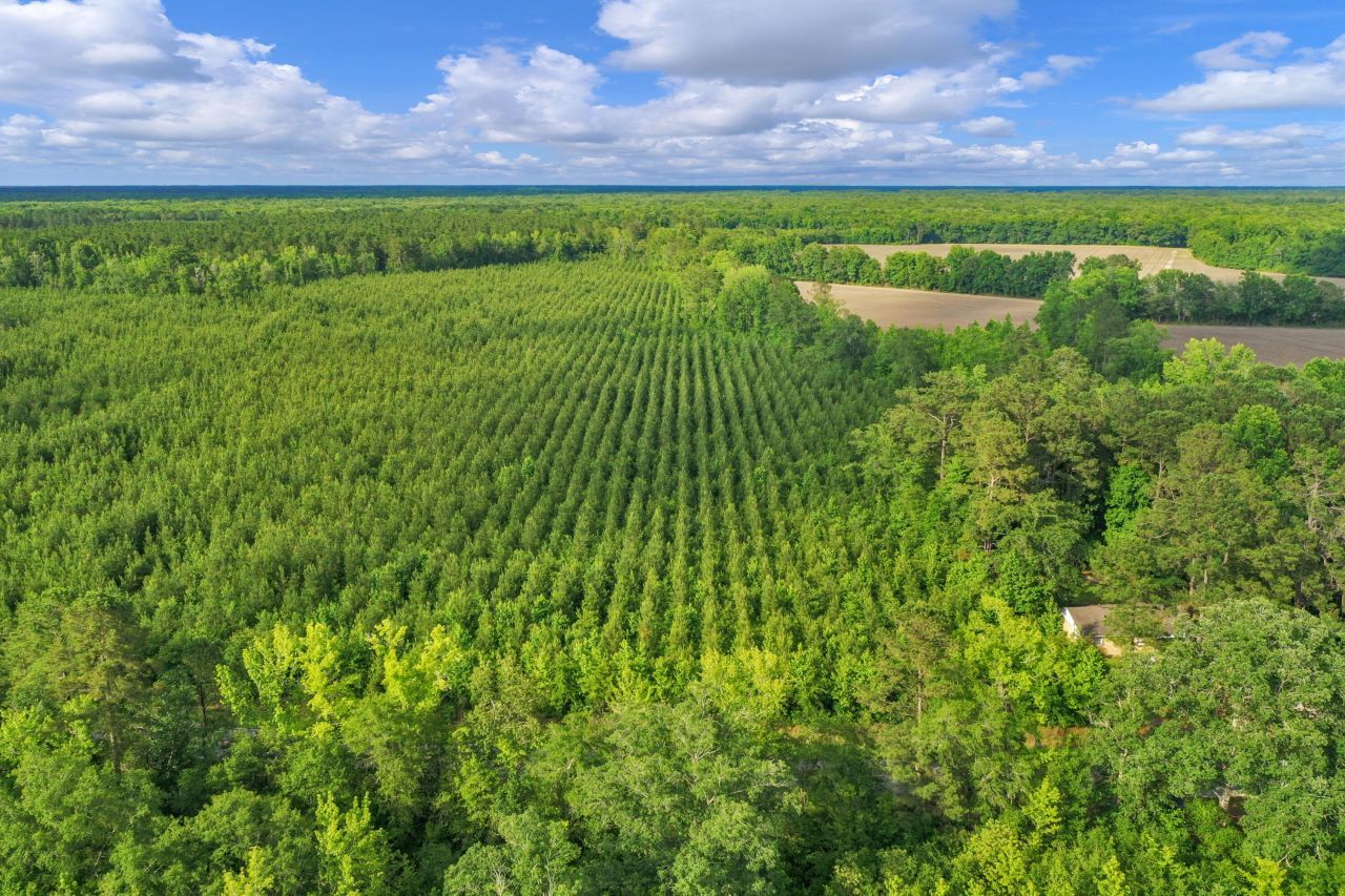 0000 N Brewington Road Photo 27