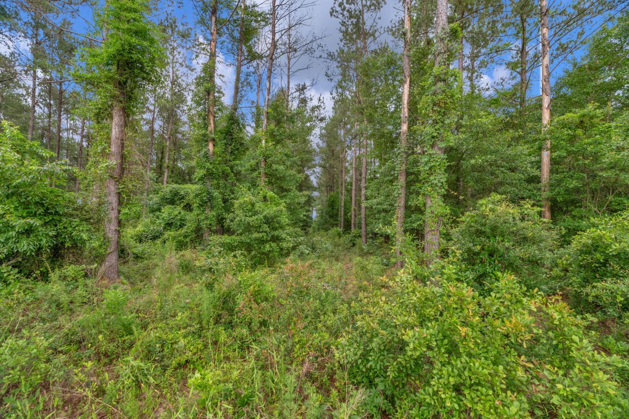 0000 N Brewington Road Photo 34