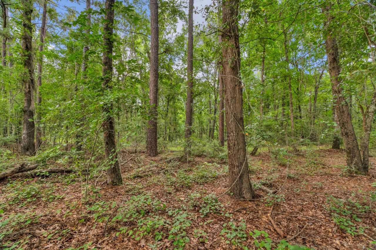 0000 N Brewington Road Photo 36