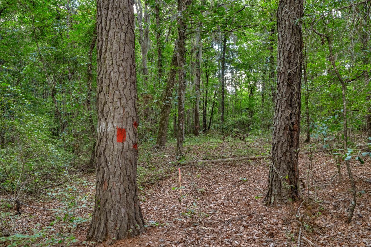 0000 N Brewington Road Photo 37