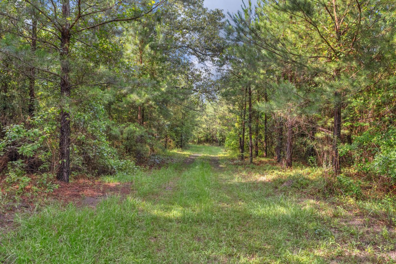 0000 N Brewington Road Photo 38