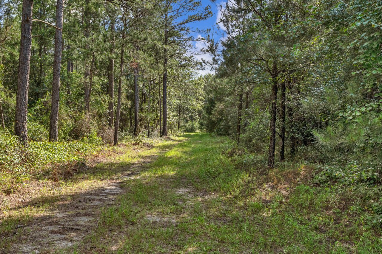 0000 N Brewington Road Photo 39