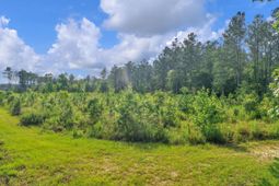 0000 N Brewington Road photo 4