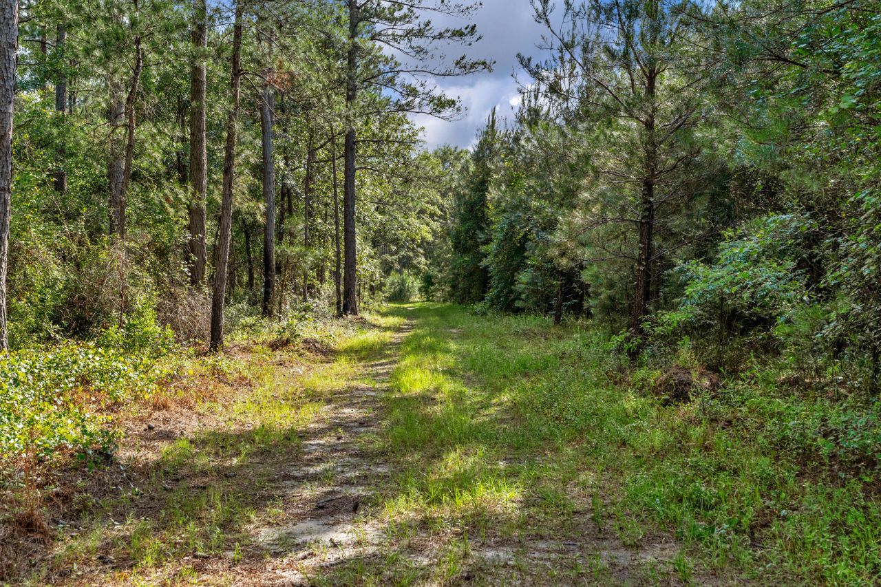 0000 N Brewington Road Photo 40