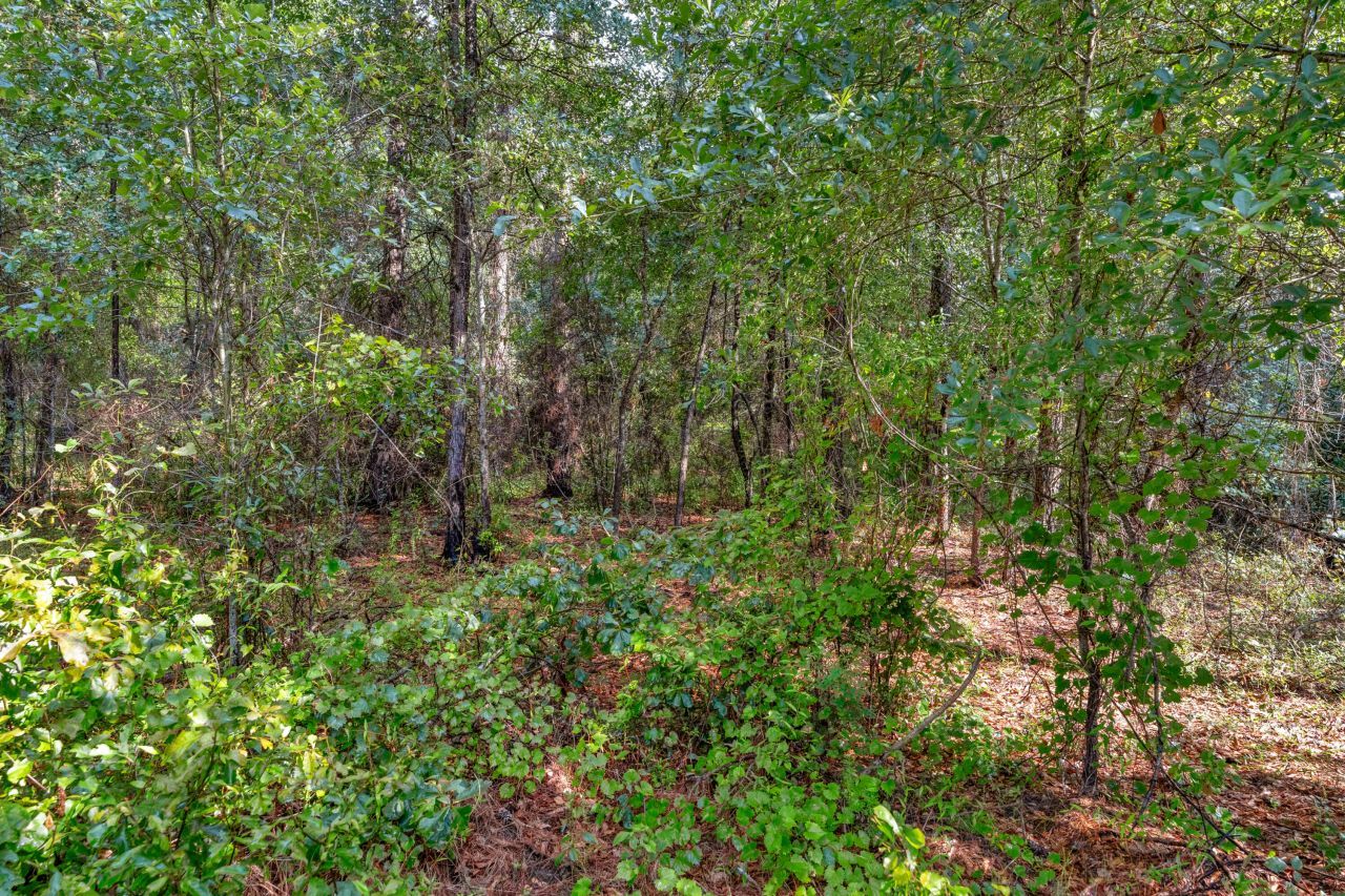 0000 N Brewington Road Photo 41