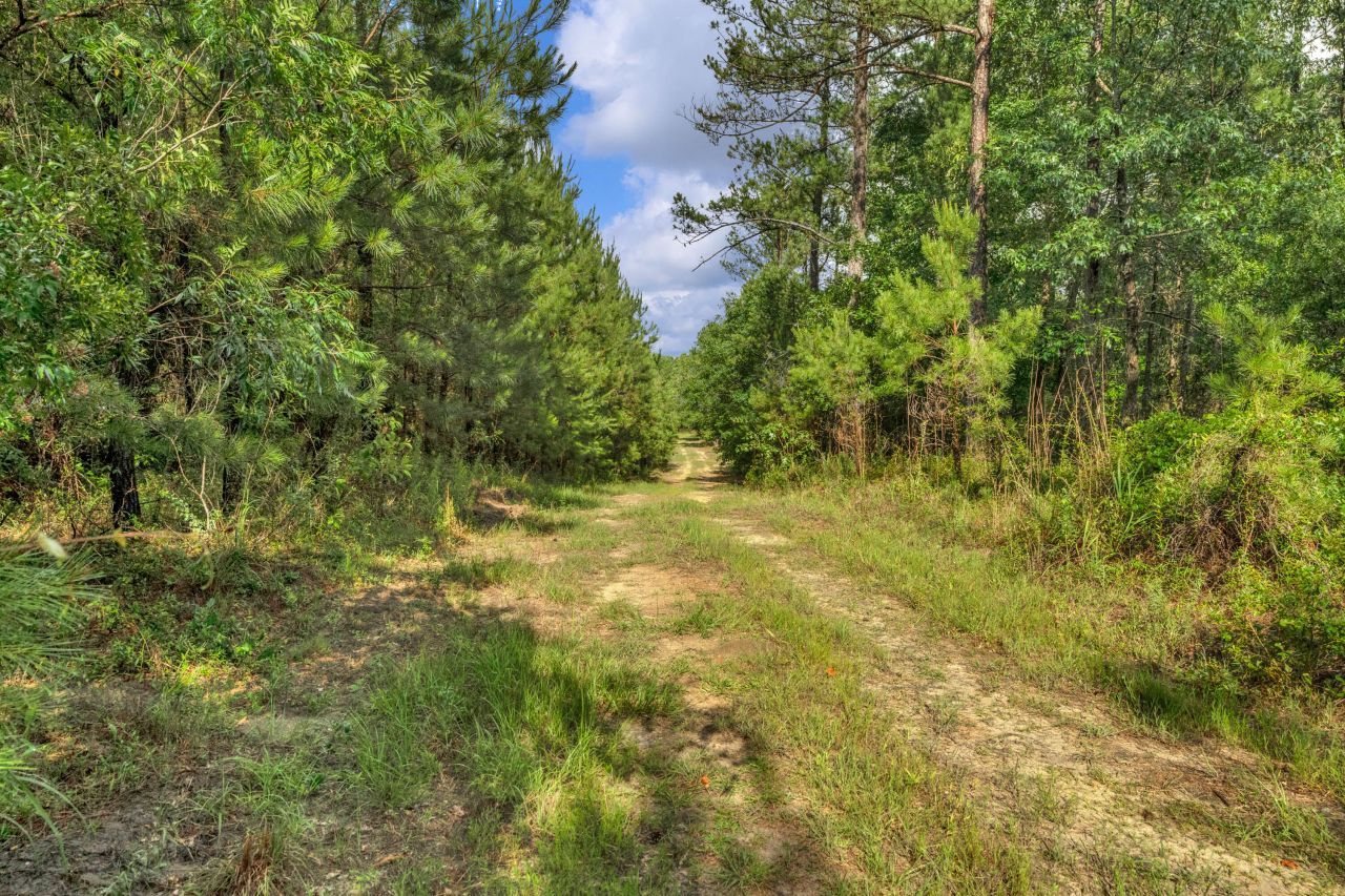 0000 N Brewington Road Photo 43