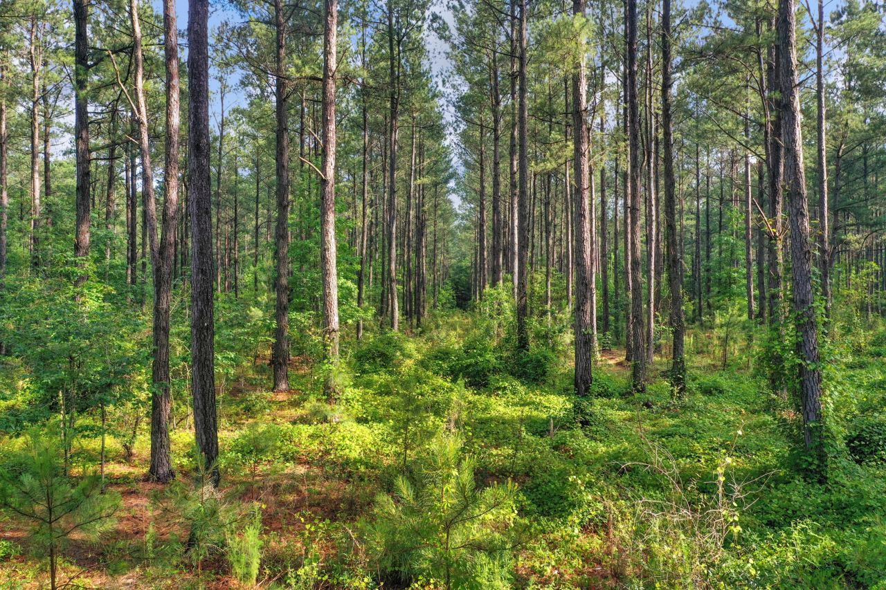 0000 N Brewington Road Photo 7