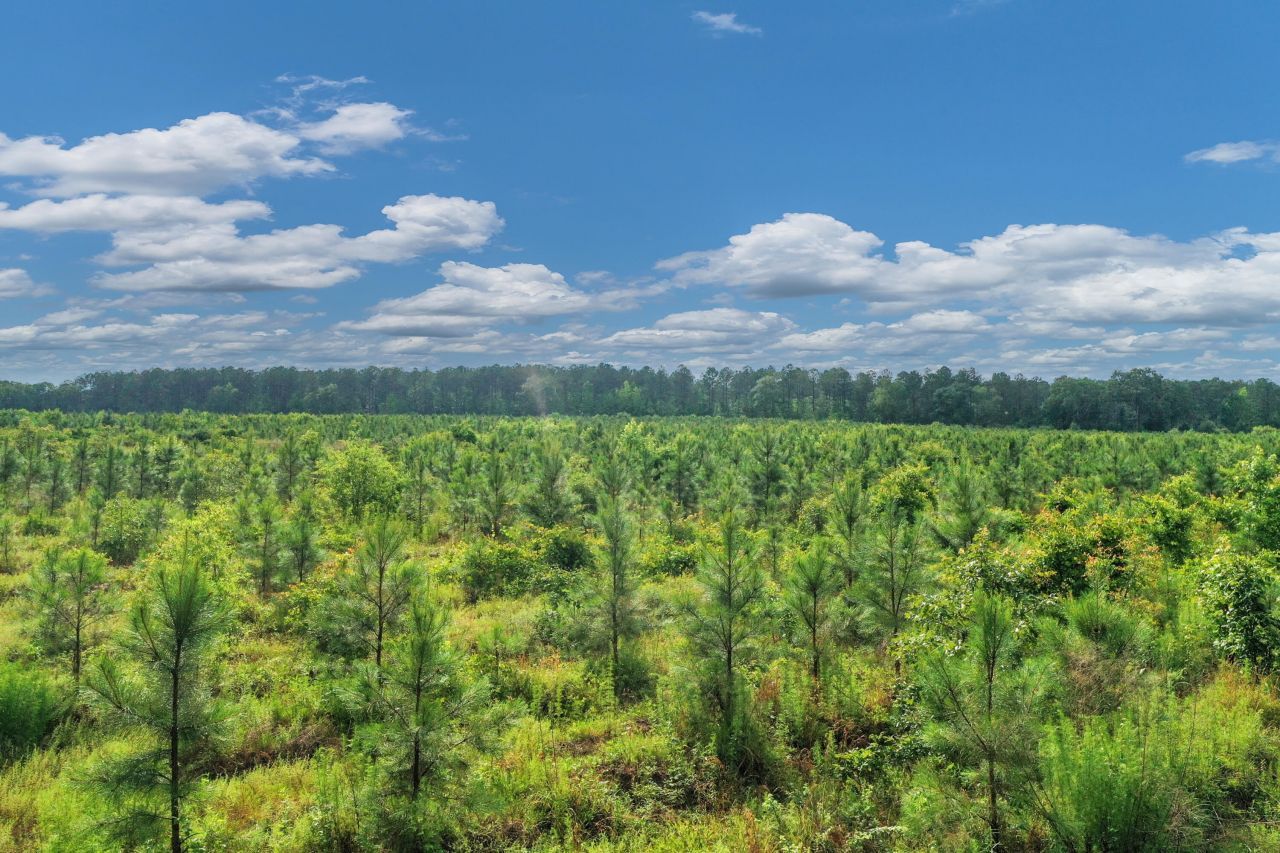 0000 N Brewington Road Photo 8