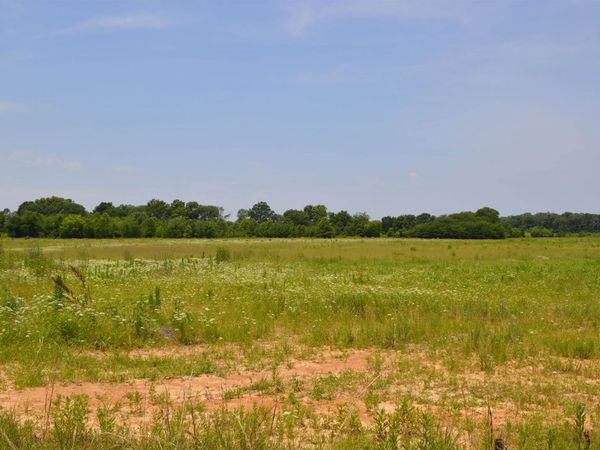 40 Acres, Fisher, AR 72429