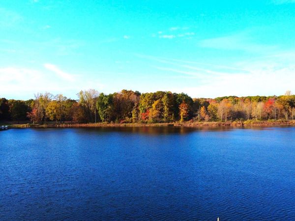 5950 S Lake George Road Road, Dryden, MI 48428