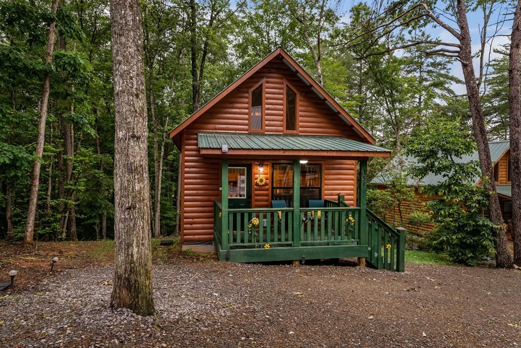 151 Rushmore Lane, Murphy, NC 28906 Main Photo