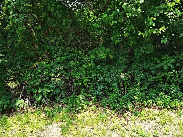 105 Gray Avenue, Medford, NY 11763