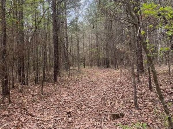 0 Crouch Road, Unit 3, Benton, LA 71006