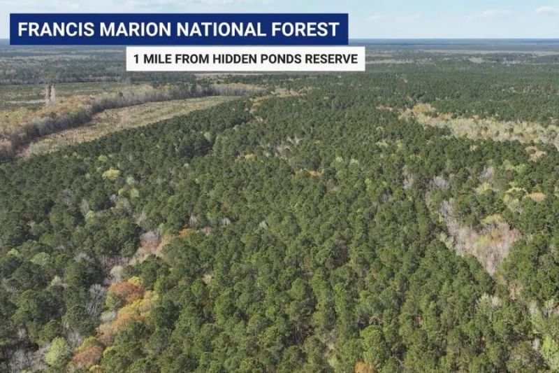 1175 Reserve Lane Photo 48