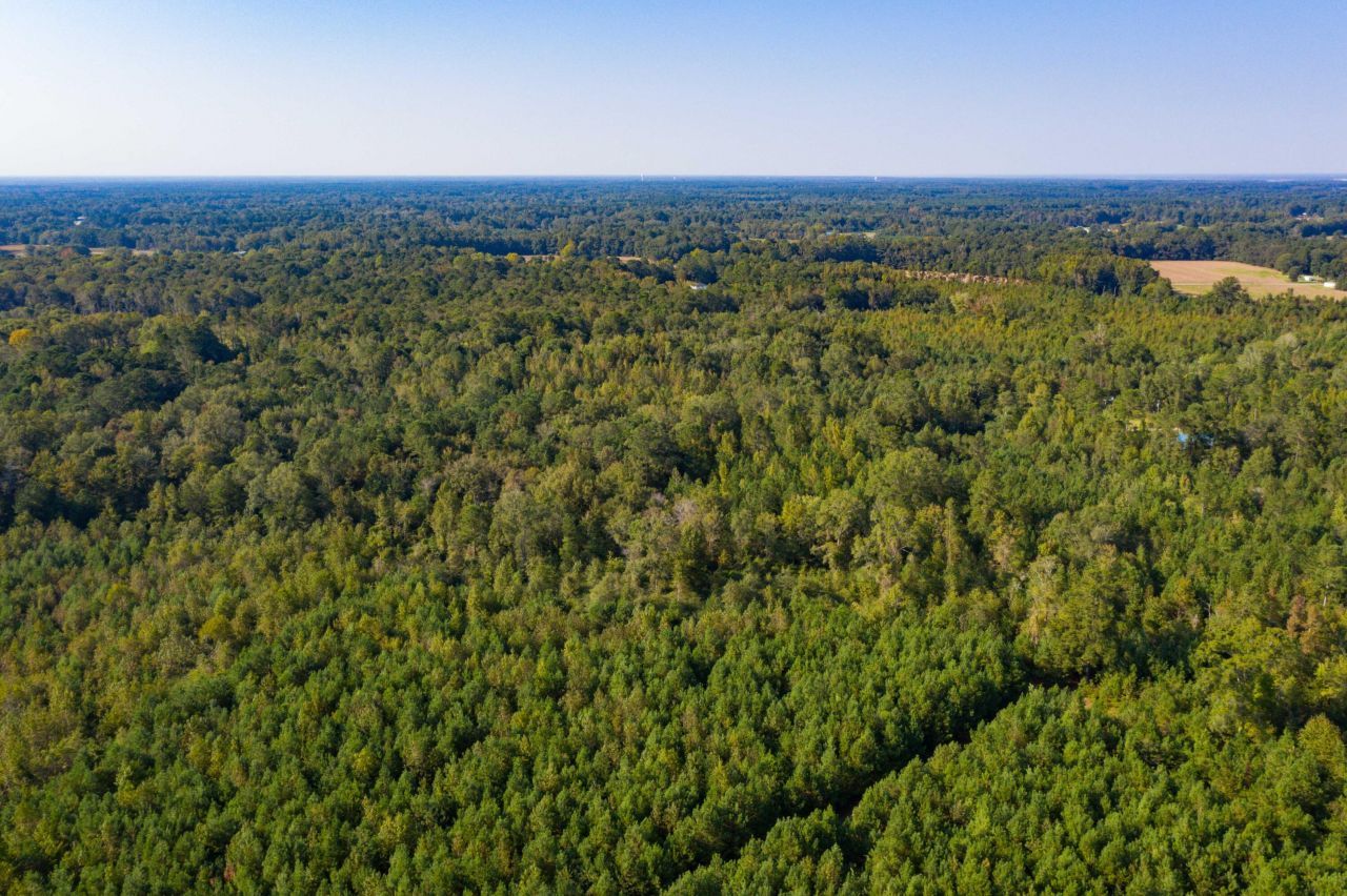 0 Half Acre Court Photo 10