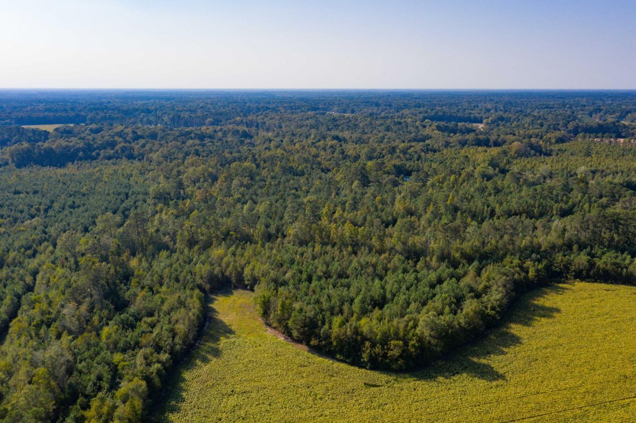 0 Half Acre Court Photo 12