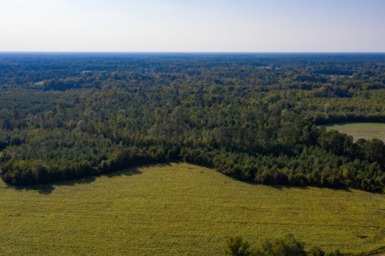 0 Half Acre Court Photo 13