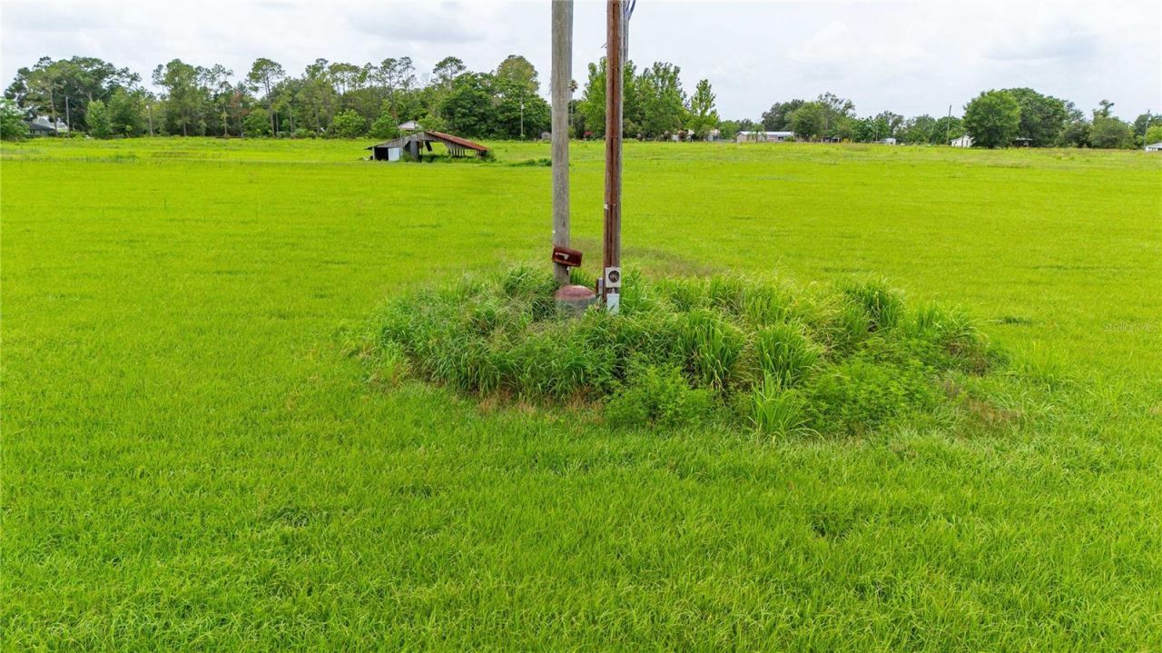 11025 Beckum Road, Dade City, FL 33525 Photo