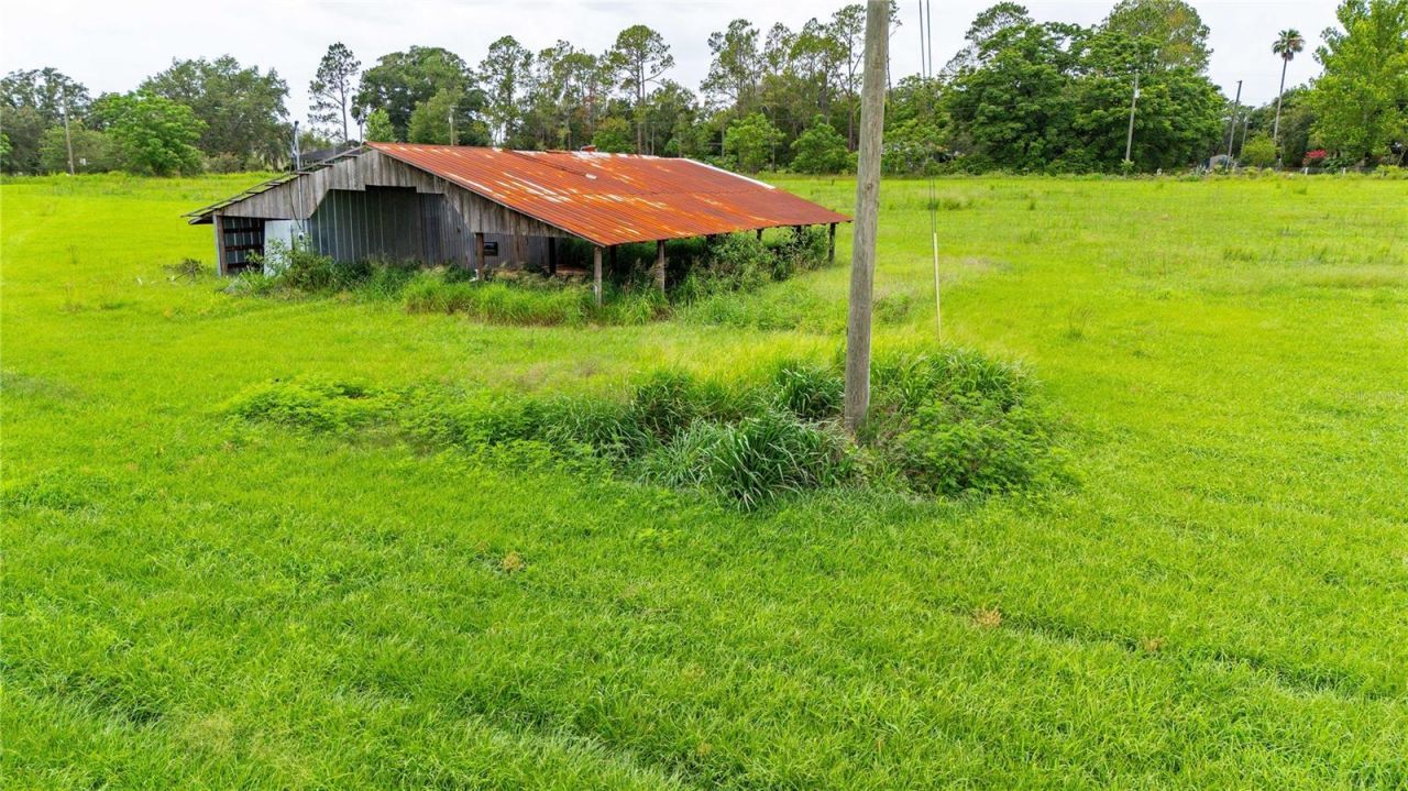 11025 Beckum Road, Dade City, FL 33525 Photo