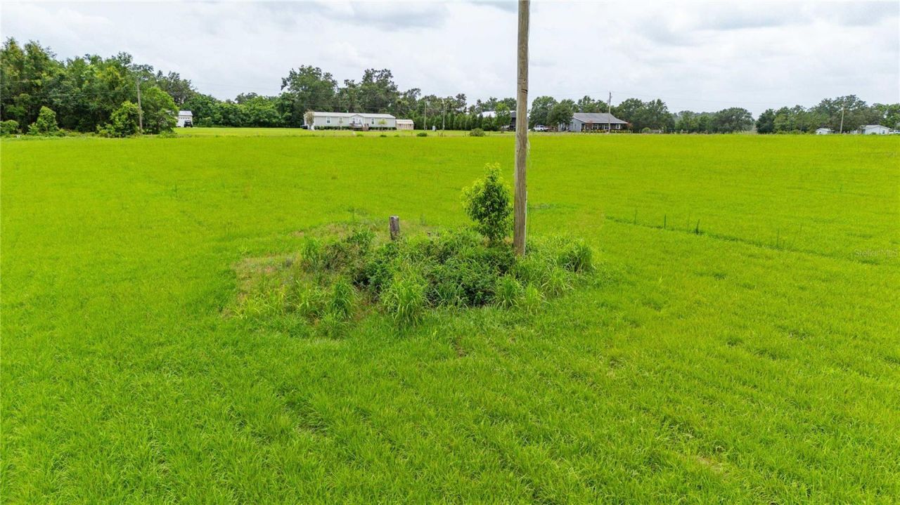 11025 Beckum Road, Dade City, FL 33525 Photo