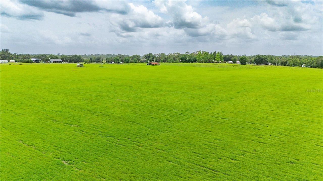 11025 Beckum Road, Dade City, FL 33525 Photo