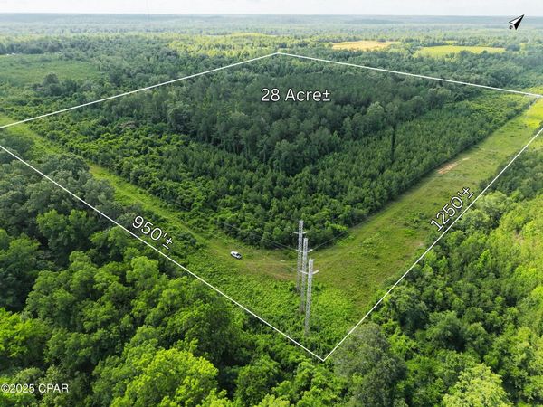 0 Donald Rd, Sneads, FL 32460