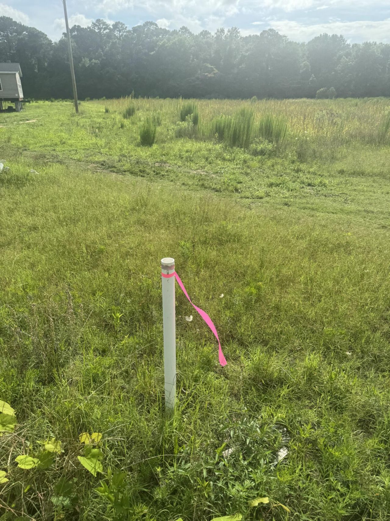 4798 Reggie Road Photo 10