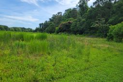 4798 Reggie Road photo 4